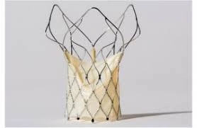 download - 2025-11-19T154035.463.webp