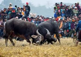 download - 2025-11-25T205240.456.webp