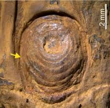 download - 2025-11-28T123010.566.webp