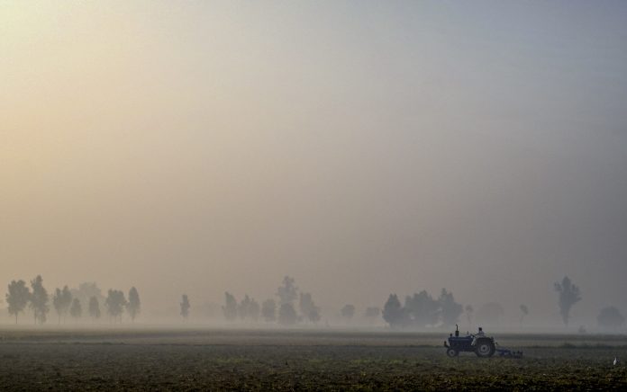 Weather: Cold morning in Amritsar