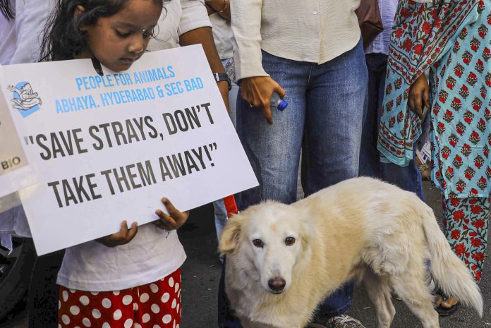 Protest in solidarity with stray dogs in Hyderabad