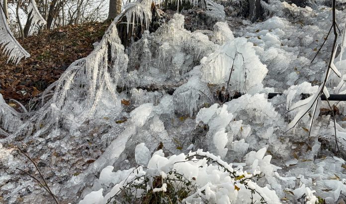 Weather: Snow in Shopian