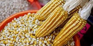 download - 2025-12-04T203841.925.webp