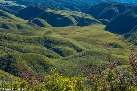 download - 2025-12-06T222211.511.webp