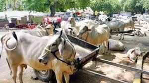 download - 2025-12-14T141651.029.webp