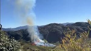 download - 2025-12-15T194339.996.webp