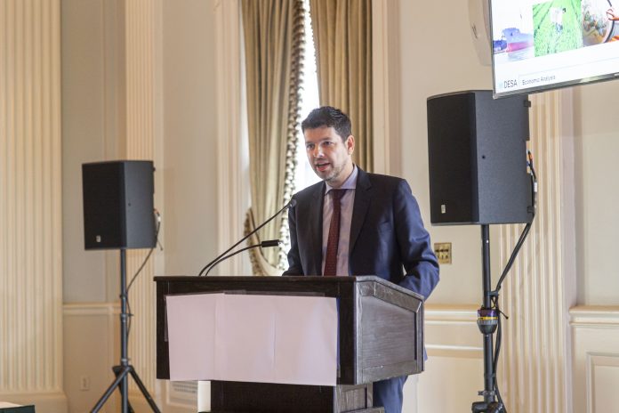 Ingo Pitterle, Senior Economist and Officer-in-Charge, Global Economic Monitoring Branch, Economic Analysis and Policy Division, UN DESA