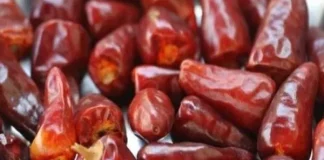 Harmal Chilli: Goa’s Fiery Pride on the Culinary Map