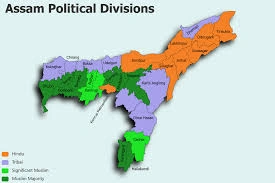 download - 2026-02-11T214401.103.webp