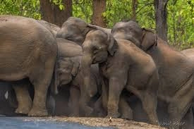 download - 2026-02-21T205842.258.webp