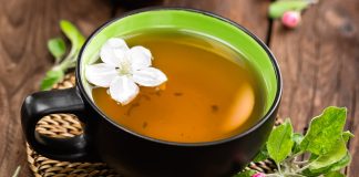 Berinag Tea: From Himalayan Heritage to Modern Resurgence