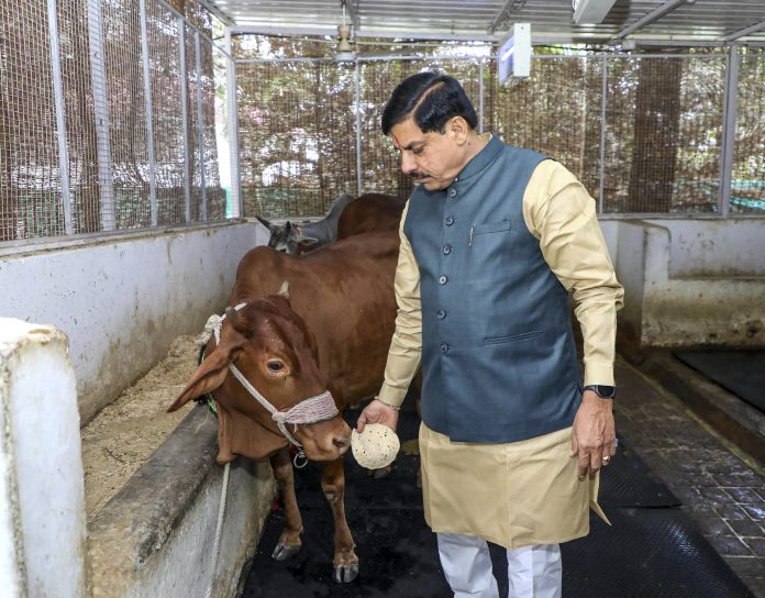 Mohan Yadav's birthday