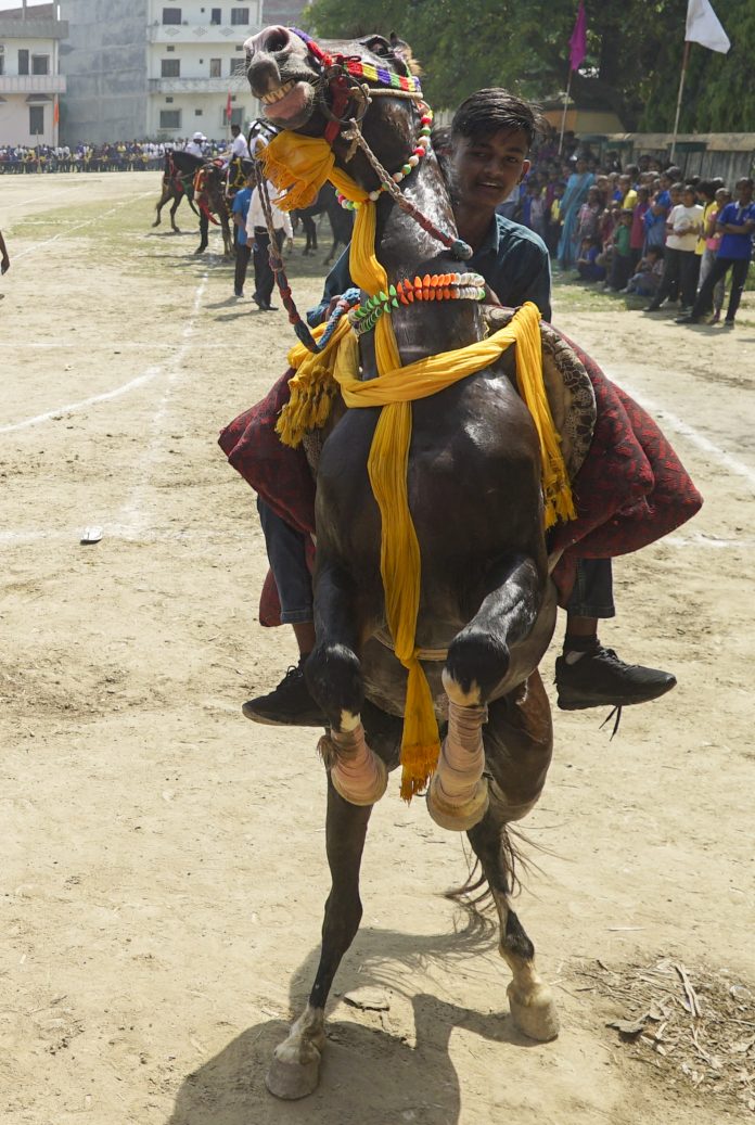 First ever horse racing competition in Varanasi