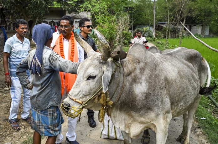WB polls: BJP's Ashim Biswas campaigns in Nadia