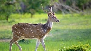 download - 2026-03-05T222104.047.webp