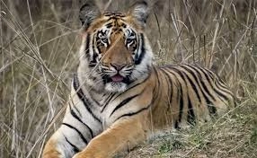 download - 2026-03-16T222318.426.webp