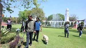 download - 2026-03-25T211145.636.webp