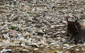 download - 2026-03-25T213852.040.webp