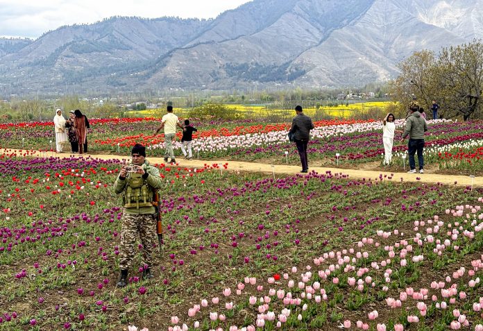 Tulip Research Centre: Anantnag